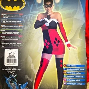 Harley Quinn Rubies Woman's Sexy Costume